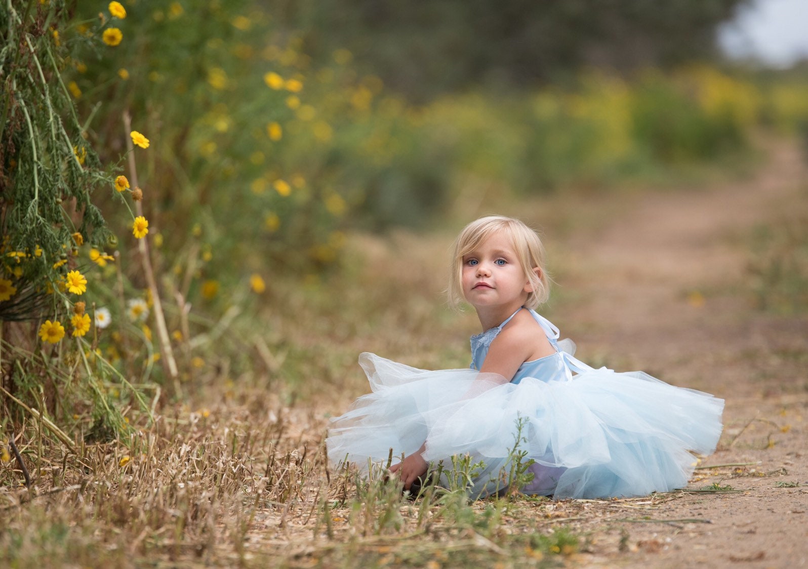 Blue Cinderella Inspired dress. Light Blue Tutu dress! Inspired by Cinderella herself.