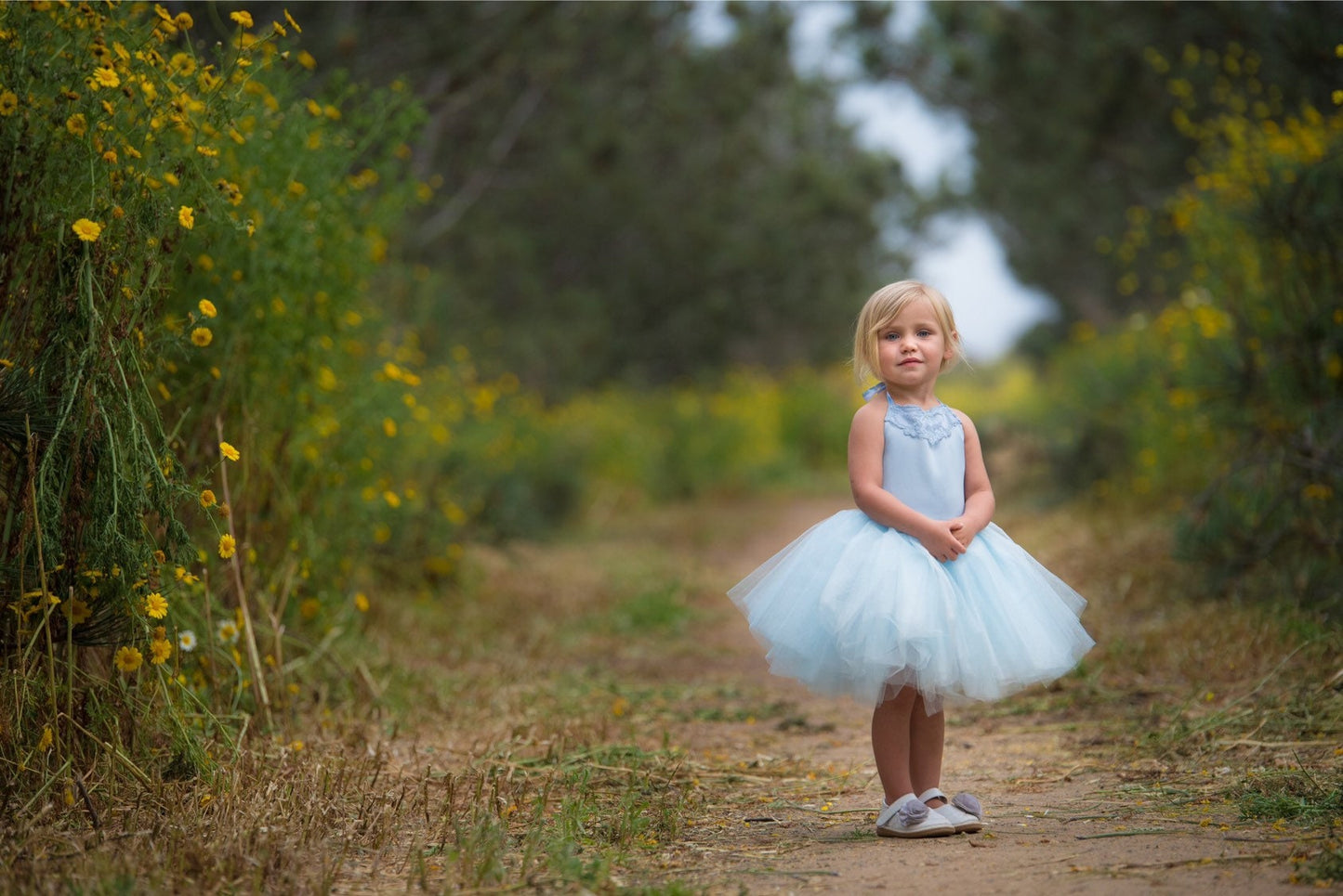 Blue Cinderella Inspired dress. Light Blue Tutu dress! Inspired by Cinderella herself.