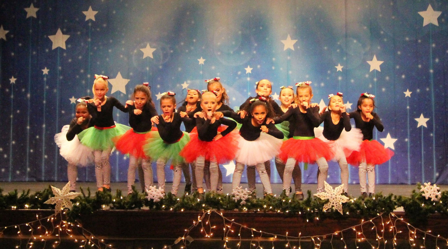 Bulk Holiday Tutu Order Red White GreenTutu Skirt